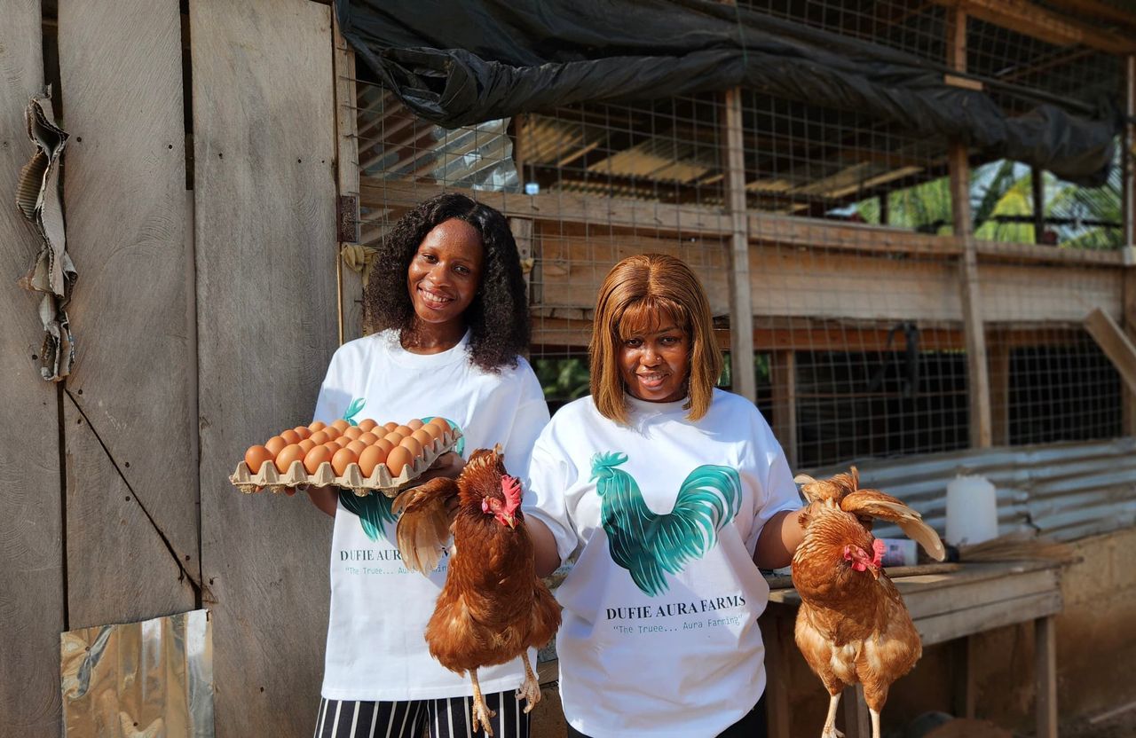 Dufie Aura Farm Landscape